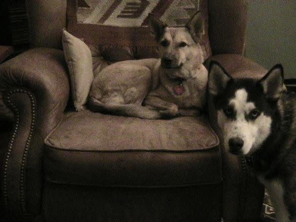 Mysty and Montana